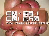 产品展示标题1