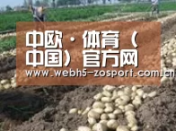 种植基地八