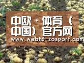 种植基地七