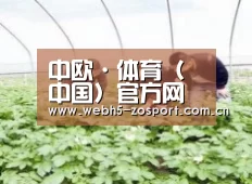 种植基地三