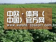 种植基地五(图1)
