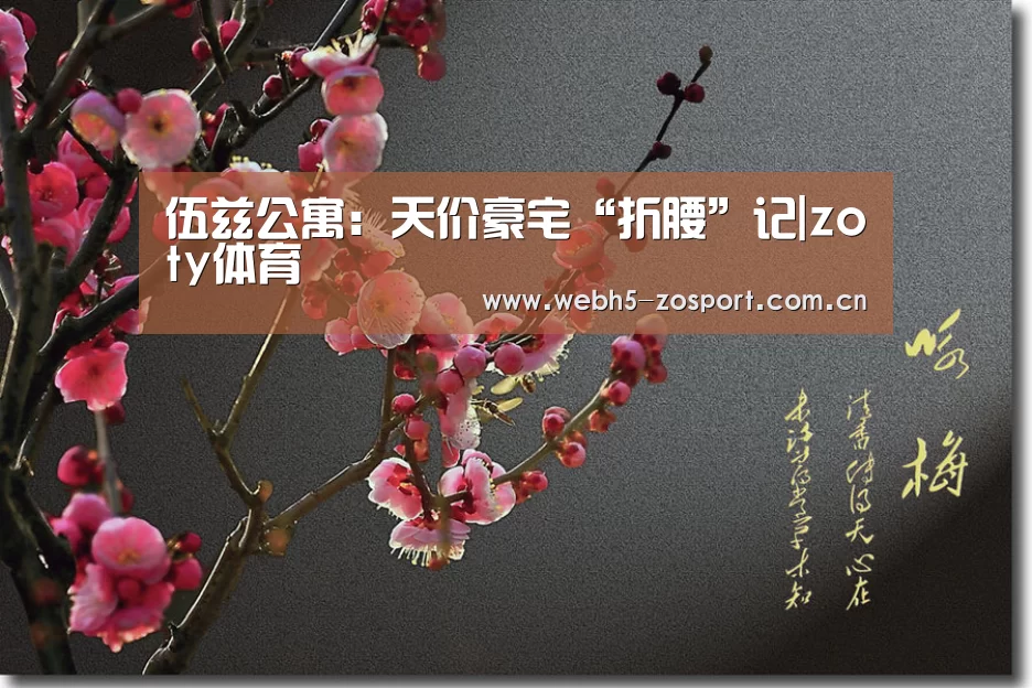中欧体育