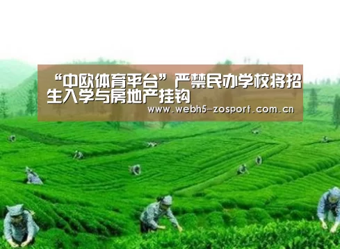 中欧体育