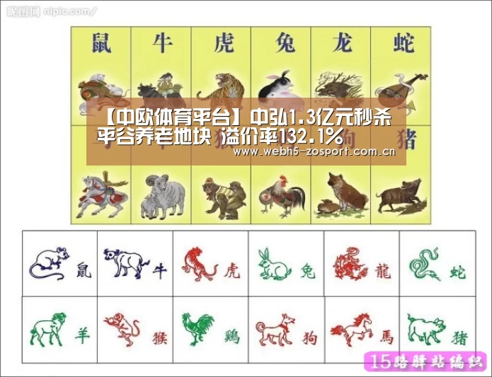 中欧体育平台