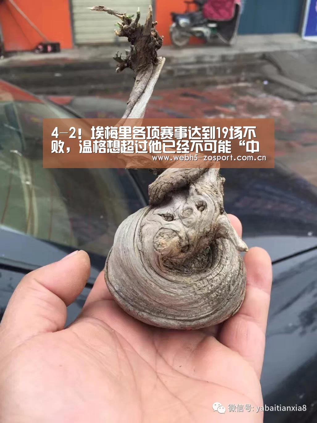 4-2!埃梅里各项赛事达到19场不败,温格想超过他已经不可能“中欧体育官网”(图2) zoty体育