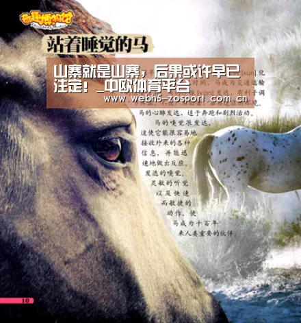 山寨就是山寨,后果或许早已注定!_中欧体育平台(图3) 中欧体育平台