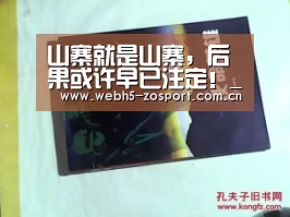 山寨就是山寨,后果或许早已注定!_中欧体育平台(图1) zoty体育