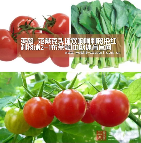 中欧体育平台
